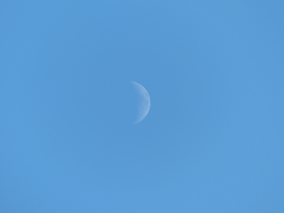 Sickle crescent increasingly