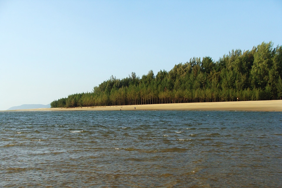 Shoreline ocean sea