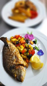 Plate restaurant food