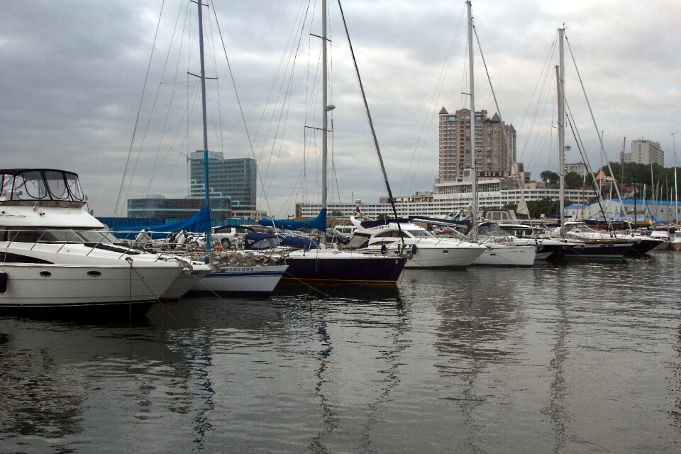 Journey amur bay vladivostok