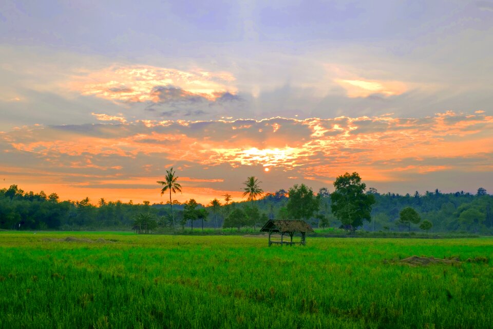 Sunset fields