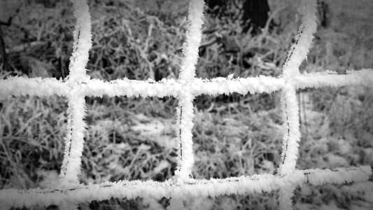 Frozen ice winter magic