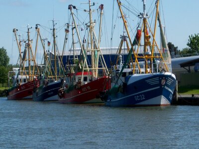 Shrimp north sea fishing photo