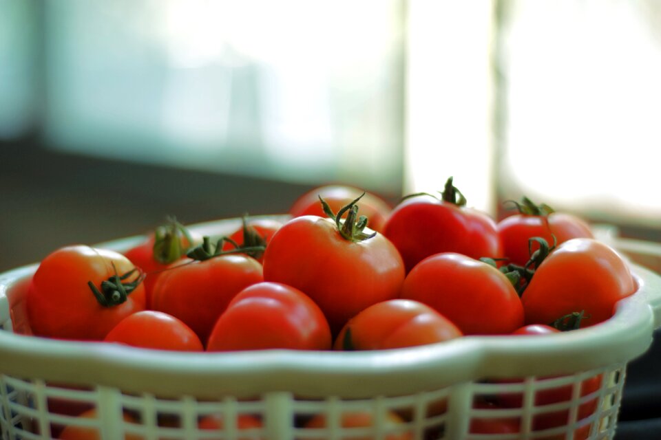 Salad food healthy