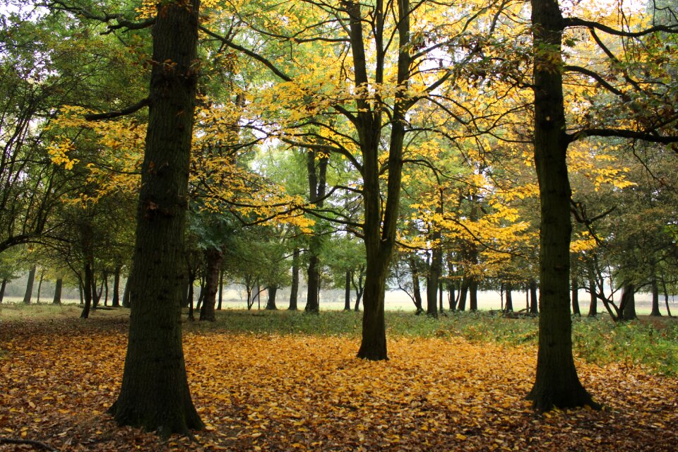 Nature season october