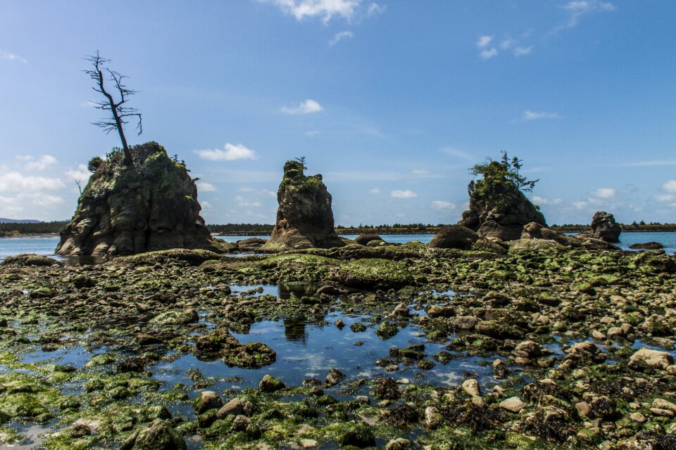 Tillamook garibaldi bay