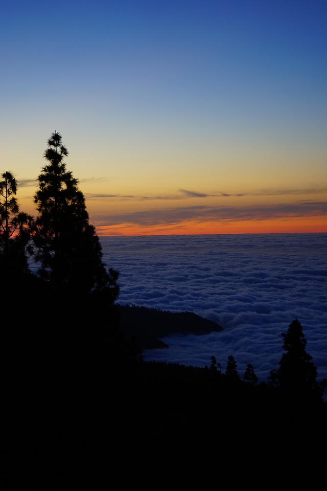 Clouds selva marine tenerife