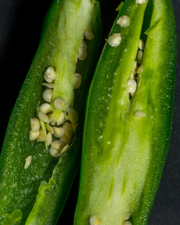 With seeds food