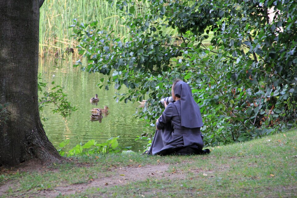 The art of nature photographer