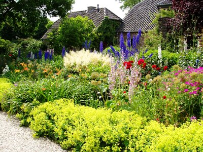 Garden benderlucens bedburg-hau