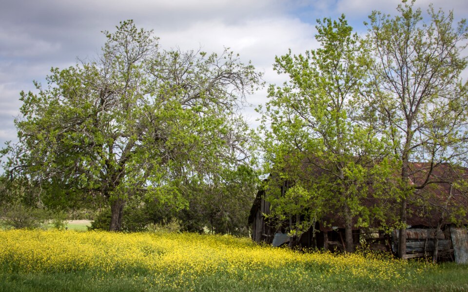 Nature rural old