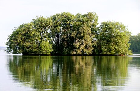 Water mirrored trees nature photo