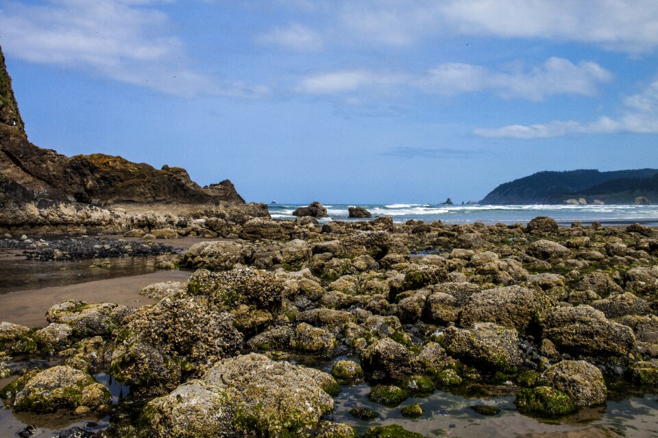 Rocks oregon tide photo