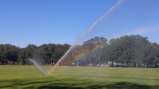 Grass lawn green photo