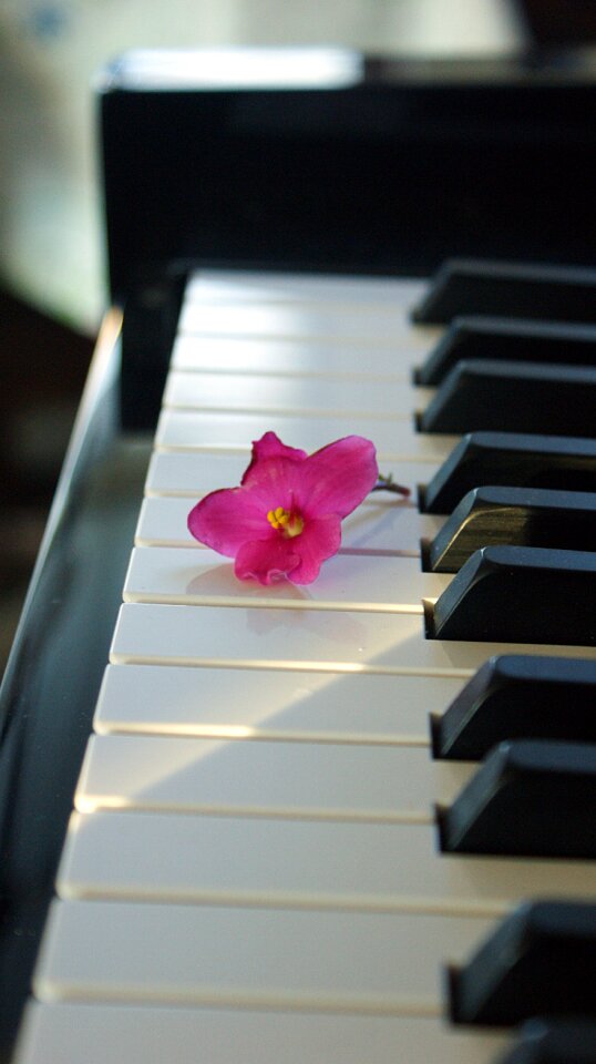 Music keys stilled