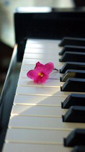 Music keys stilled
