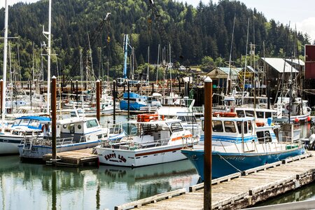 Boats tillamook bay photo