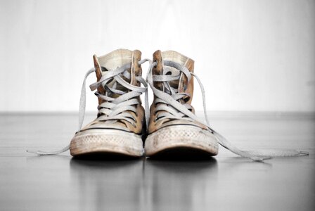 Cloth shoes sneaker converse