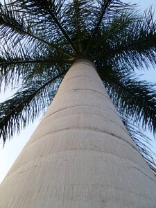 Holiday nature