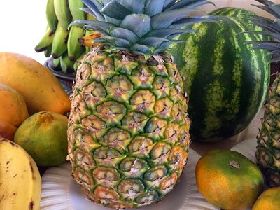 Green yellow pineapple