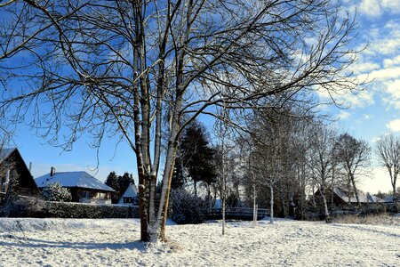 House snow landscape snowy