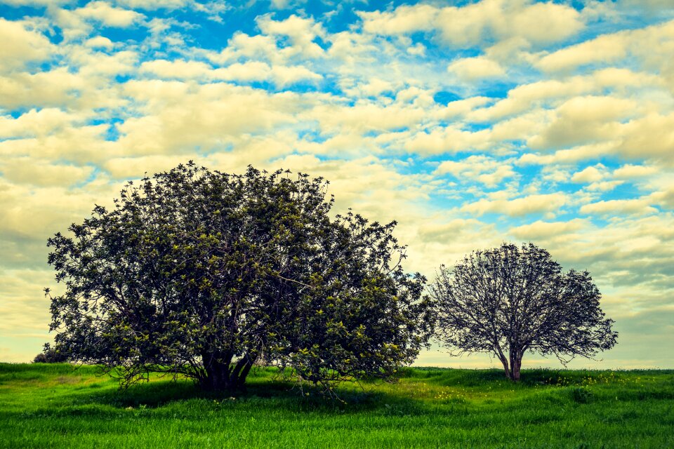 Nature sky clouds
