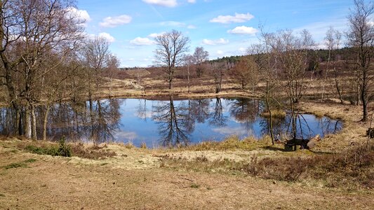 Spring lake mirroring photo