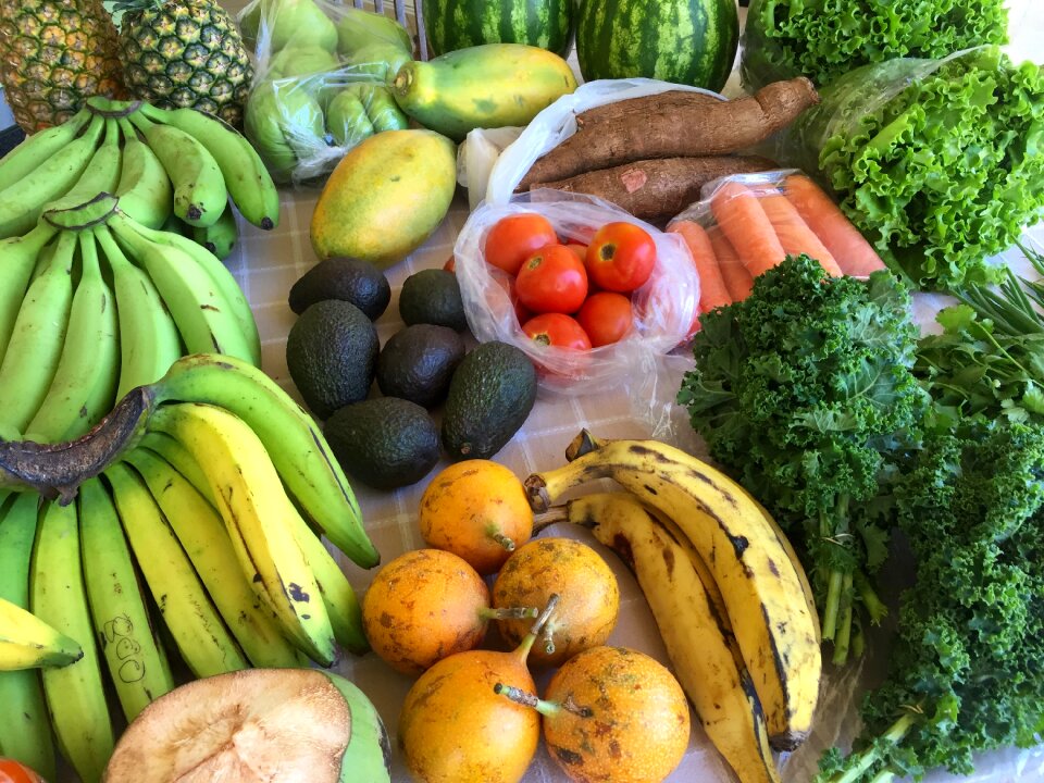 Farmer's market fresh local
