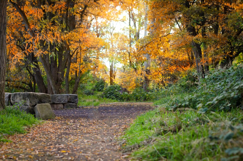 Path fall
