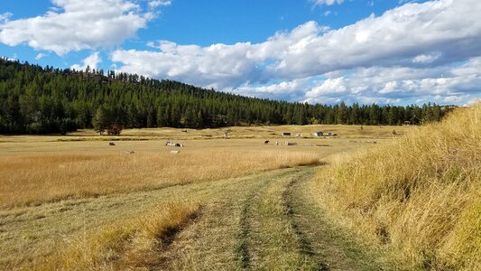 Mountain landscape wilderness