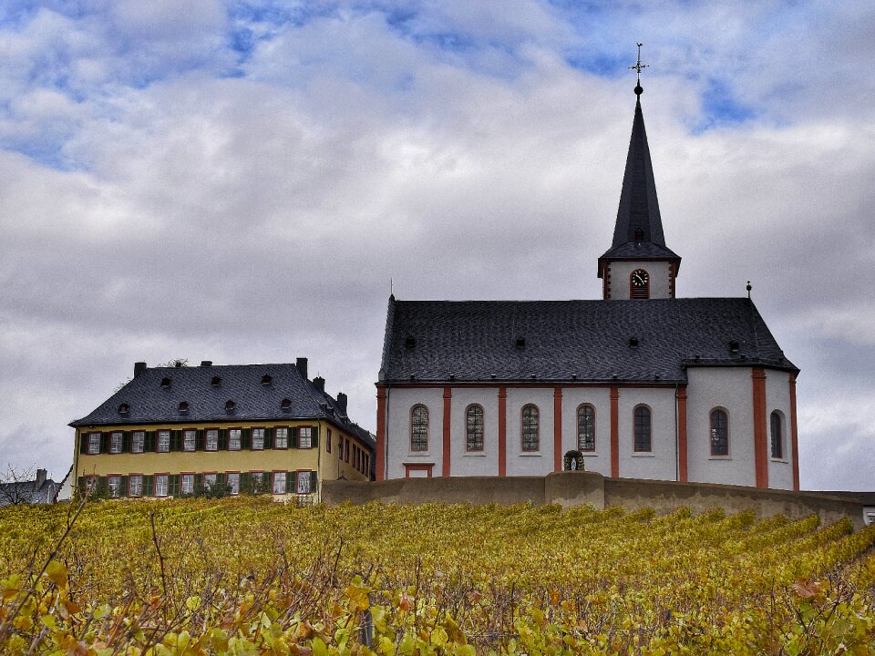 Germany rheingau wine