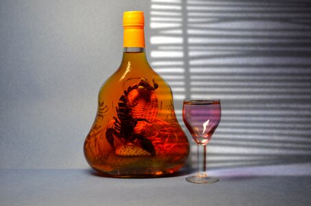 Glass snake alcohol photo