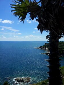 Coconut trees blue sky sea photo