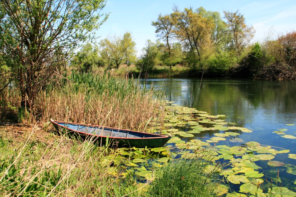Swamp hutovo blato