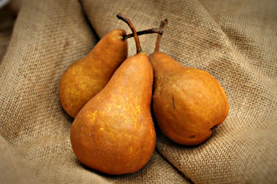 Fruits food health