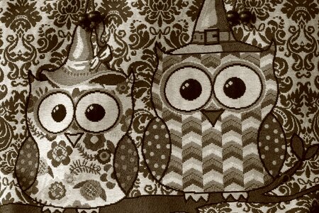 Design cartoon cute