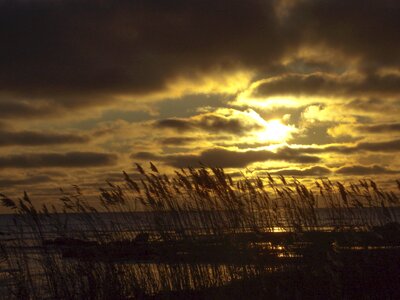 Gotland autumn sea photo