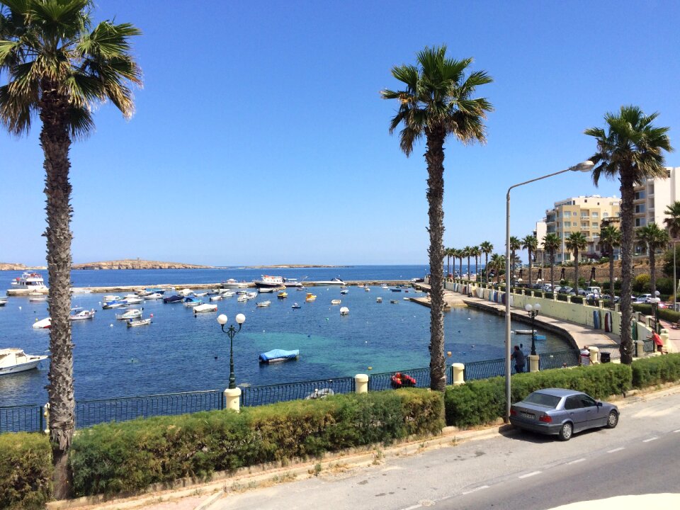 Malta palm trees car