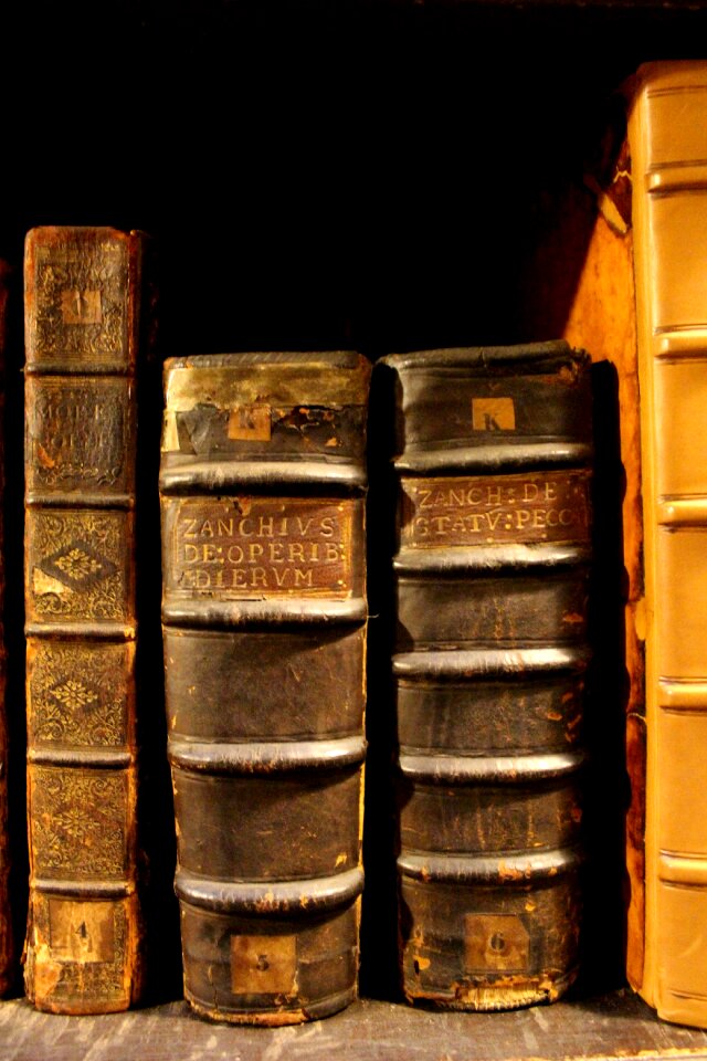 Reading learning vintage