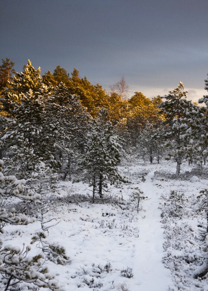 Snow the path duckboards