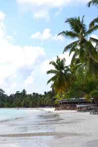 Tropical travel ocean