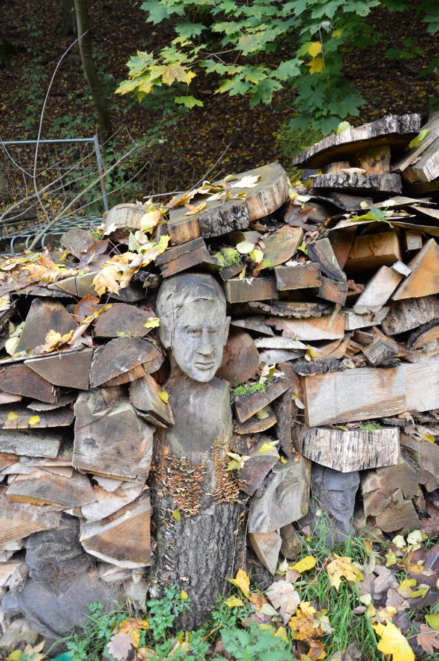 Forest nature face