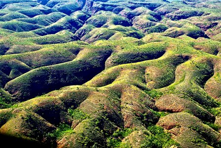 Wilderness australia nature