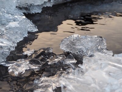Reflection nature winter