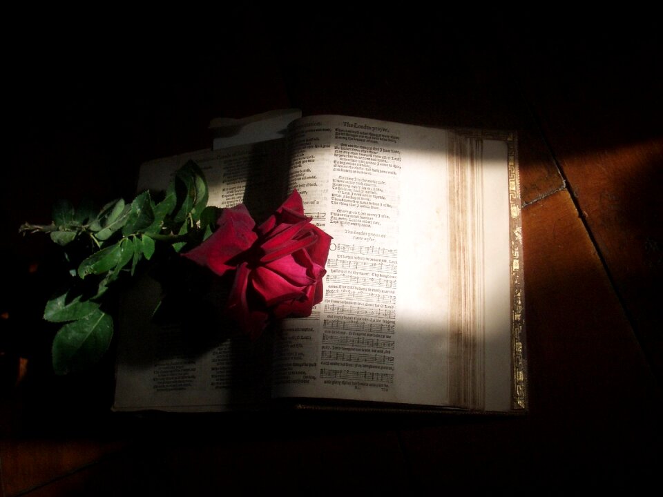 Church love salvation