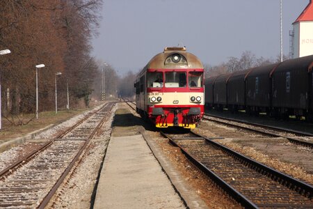 Locally ground local train train photo