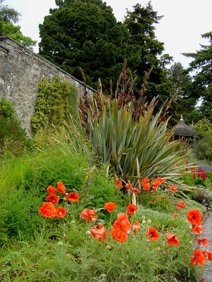 Architectural plants national