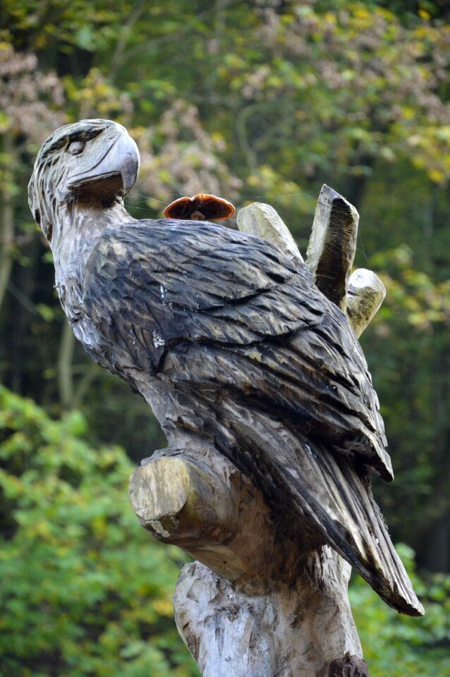 Mushroom craft wood carving