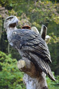 Mushroom craft wood carving