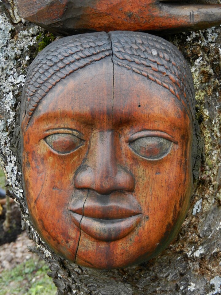 Wood carving portrait afrikanerin